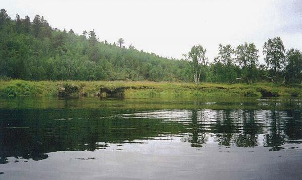 Kohteen pituus on noin 250 metriä ja korkeus 3 metriä. Rinne näyttää olevan jokseenkin stabiili.