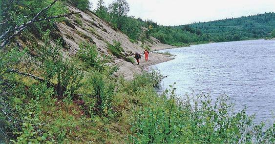 Kasvipeitettä on noin 20 30 % alasta, ja se koostuu variksenmarja- ja ka- nervamatoista.