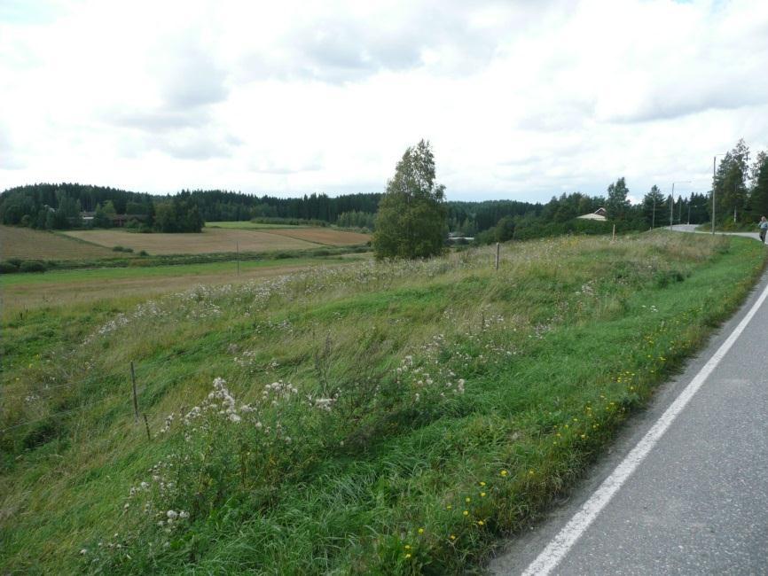 21 Kylätontin arkeologisoitunutta eteläosaa, länteen. PUNKALAIDUN HOSIOKORPI TALOTONTTI Mjtunnus: Rauh.