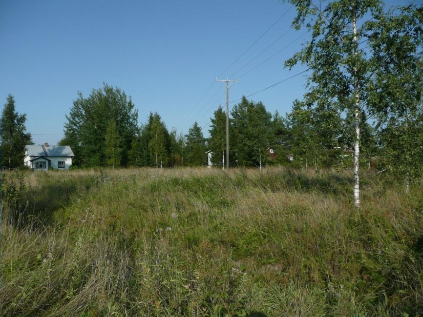 HUITTINEN HAKUNIN TALOTONTTI Mjtunnus: Rauh.