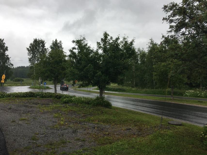 Selvityksen on laatinut Ramboll Finland Oy:n luontokartoittaja EAT, ins. AMK Ville Yli-Teevahainen.