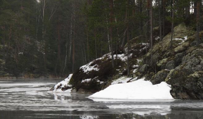 saimaannorpan suojeluun ja kannanarviointiin (MH), C5 Apukinosjärjestelmä