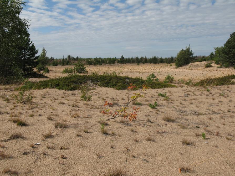 Luonnonsuojelulain keskeiset tavoitteet ovat luonnon monimuotoisuuden ylläpitäminen, luonnonkauneuden ja maisema arvojen vaaliminen sekä luonnonvarojen ja luonnonympäristön kestävän käytön tukeminen.