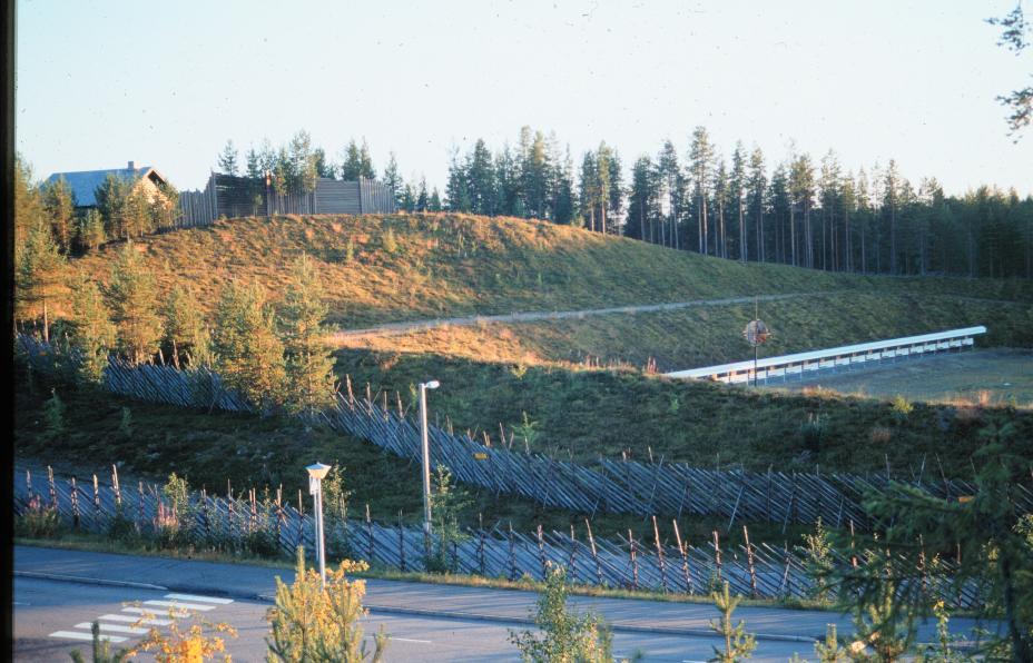 uttaneet valoisien ja harvapuustoisten harjumetsien umpeen kasvamista.