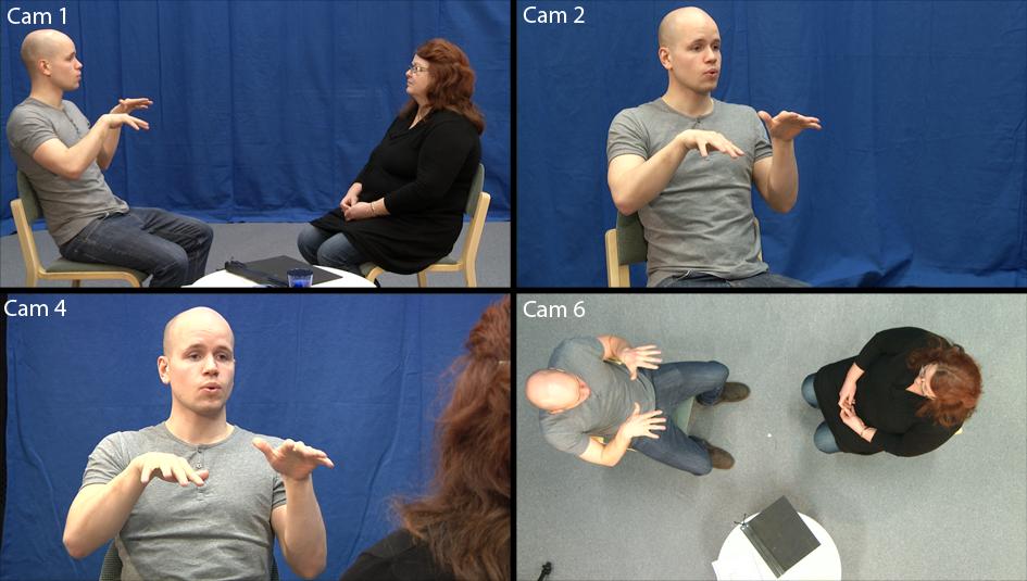 Es:ma:ng Head Pose and State of Facial Elements for Sign Language Video.  Iceland, 31 May, 2014].