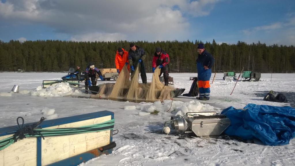 TOIMINTAKERTOMUS 2015 ETELÄ - KARJALAN