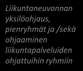 motivointi, yksilöohjauksia 1-2 kk viikottain jos asiakas tarvitsee henkilökohtaista ohjausta ja motivointa. Tämän jälkeen harvemmin 1-2 krt/kk.