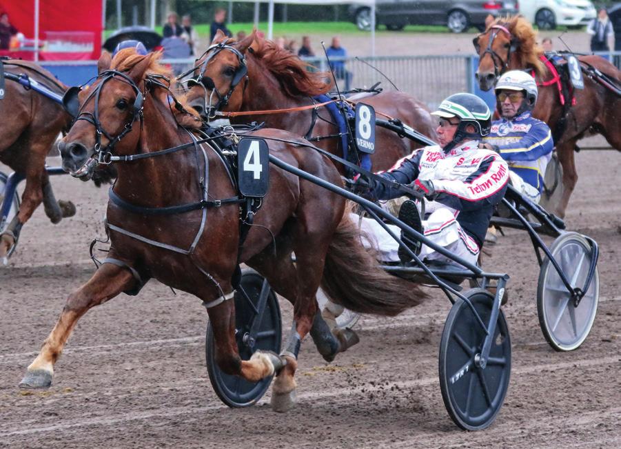 TÄHTISPRINTTERI 1977 2016 1977 Vieteri Kaarlo Partanen 28,8 (Vilperi Vekkuli, Valokko) 1978 Vieteri Kaarlo Partanen 27,5 (Vilperi Vekkuli, Valokko) 1979 Vokker Antero Vesterinen 25,9 (Forte Halla,