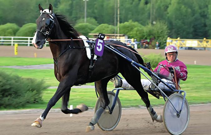 4 OBRIGADO ANTTI TEIVAINEN Obrigado juoksi opetuslähdön elokuussa. Viitteitä kovaluokkaisesta juoksijasta saatiin lokakuun lopulla, kun Nuoret-lähdössä tuli tulos 22,3/2100 metriä.