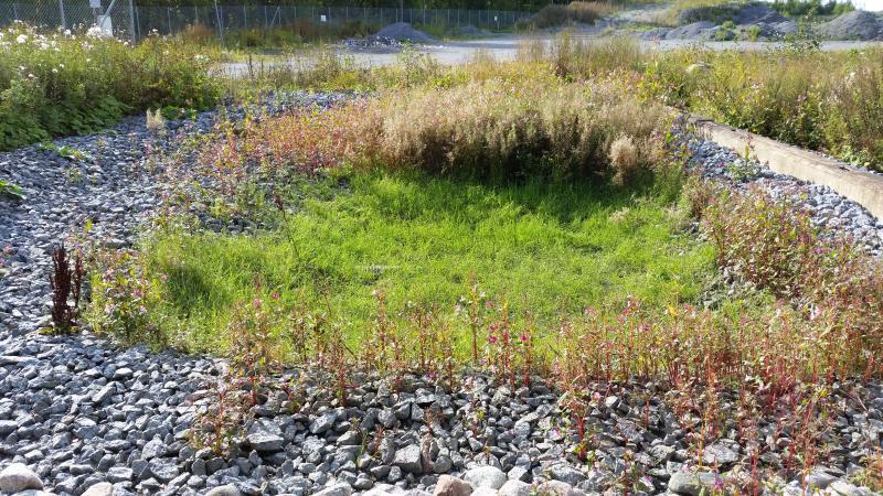 Tampereen kaupungin yleisten alueiden huleveden hallintarakenteiden ylläpito tamattomaan ympäristöön.