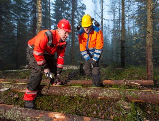 seutua tiiviissä yhteistyössä alueen elinkeinoelämän ja