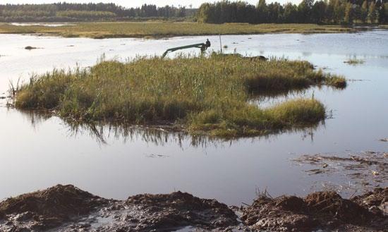 rantaan. Tulevaisuuden kuusi Tässä on esimakua kunnostetusta järvestä.