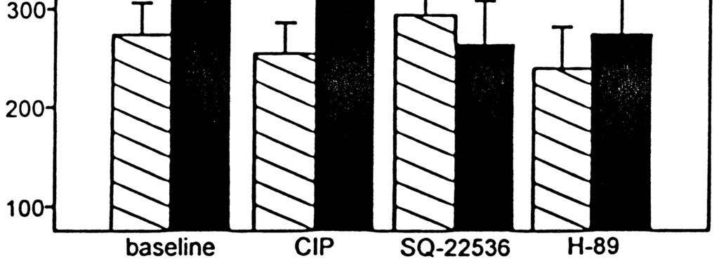 proteiinikinaasi alendowicz et al., J. teroid. Biochem. ol. Biol.