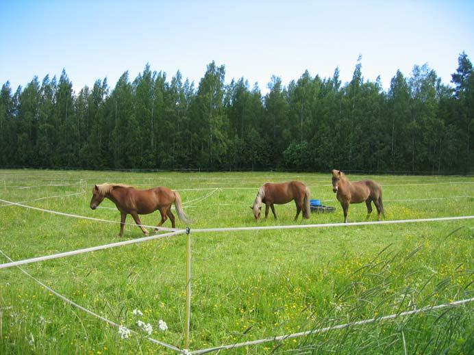 kaupungin metsäsuunnitteluohjelmassa (T- Forest) on noin kymmenen vuotta sitten kerättyä tietoa: ei paljoa apua, kuusivaltaista lehtomaista kangasta.