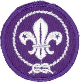 Intiassa. WOSM taas omistaa Sveitsissä sijaitsevan Kandersteg International Scout Centren eli tuttavallisemmin KISC:in, jonka perusti itse Lordi Baden-Powell!