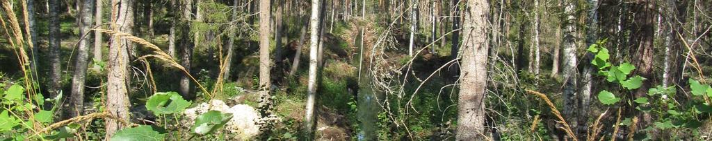 metsäaluetta ja Katiskoskentiehen rajoittuvilta osin ojitettua suota (Kuva 6).
