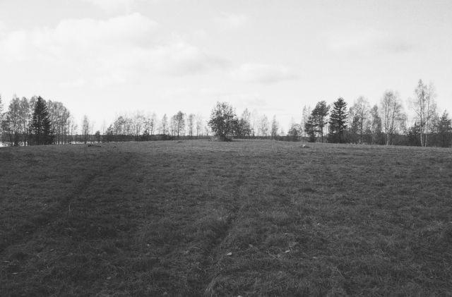 37 UTAJÄRVEN ARKEOLOGINEN OSAINVENTOINTI Johanna Seppä 2008 f 145755:2-3 Roinila, kivikautinen asuinpaikka, panoraama. Yleiskuva Roinilan alueesta joen pohjoisrannalta kuvattuna.