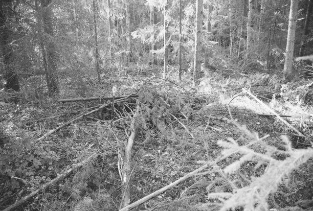 39 UTAJÄRVEN ARKEOLOGINEN OSAINVENTOINTI Johanna Seppä 2008 f 145757 Kantola 3, tervahauta.