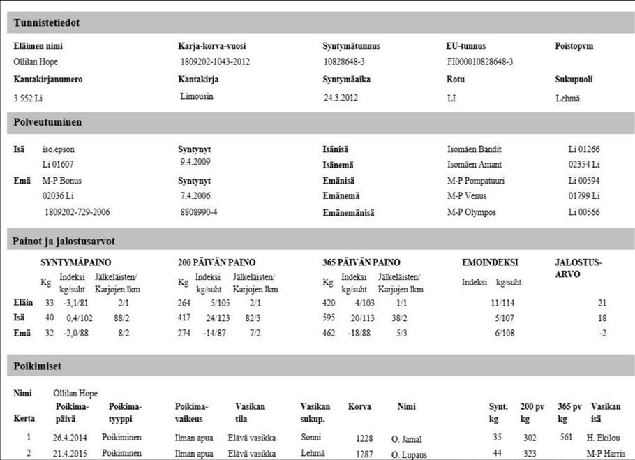 10 (74) 2.1.1 Hieho Uudistushiehon valinta on haasteellista niin ostoeläimiä kuin oman karjan kasvattejakin ajatellen.