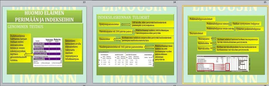 44 (74) Eläimen perimään ja indekseihin perehdytään oppaassa siten, että ensiksi esitellään genomista testausta.