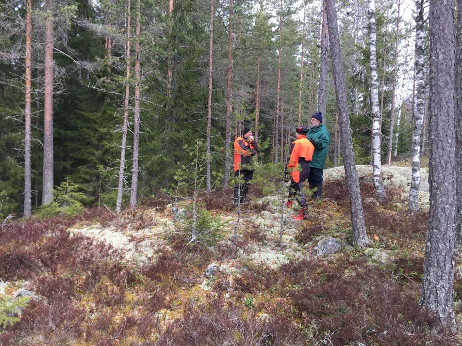 Kallioalueen yläosa, mikä