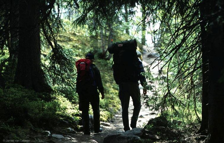 Monitavoitteinen metsänhoito uusia lähestymistapoja metsänhoitoon Monitavoitteisessa metsänhoidossa metsäluontoa hoidetaan ekologiset, sosiaaliset, kulttuurilliset sekä taloudelliset näkökulmat