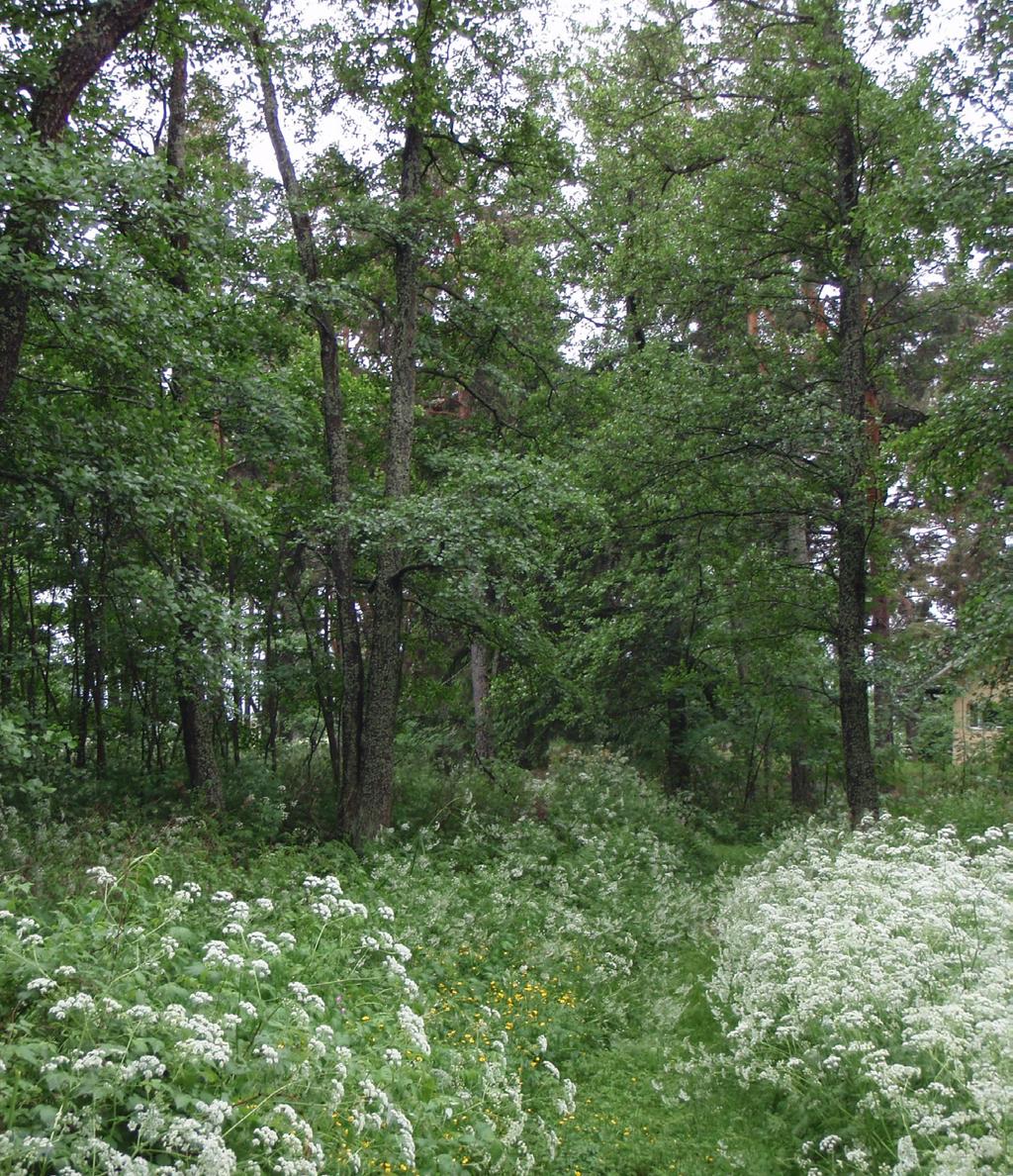 Itärannalla