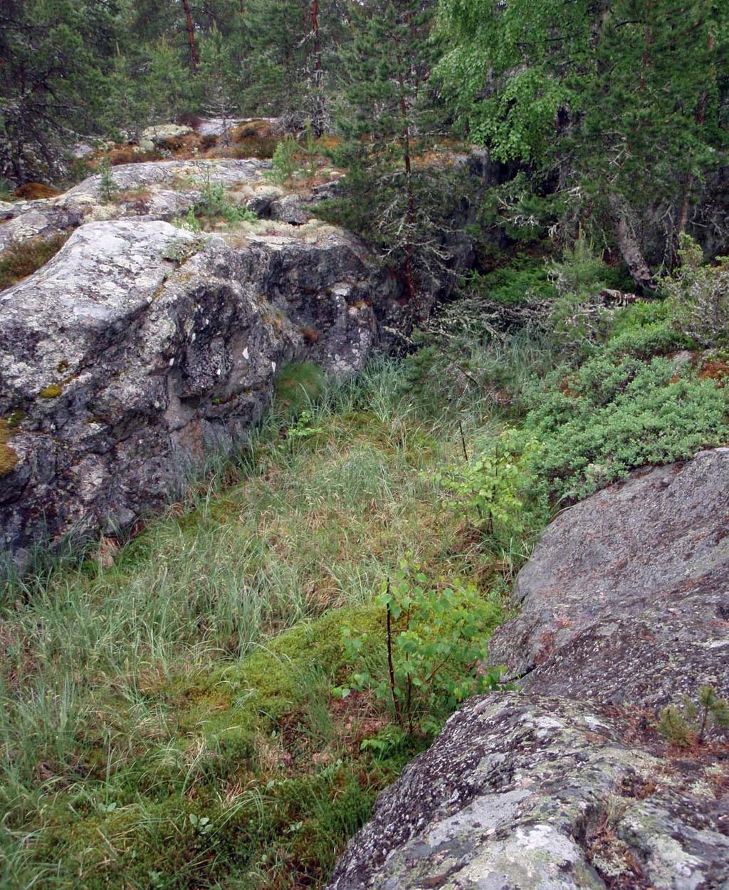 20 Kuuskajaskarin linnakesaaren maisemaselvitys Saaren