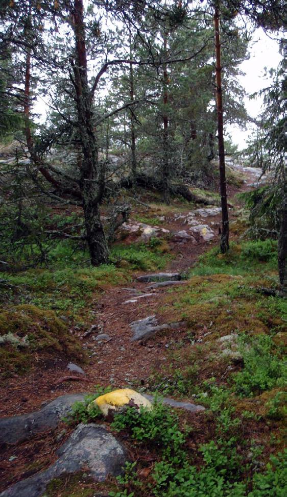 saaren länsiosan maiperäisin on
