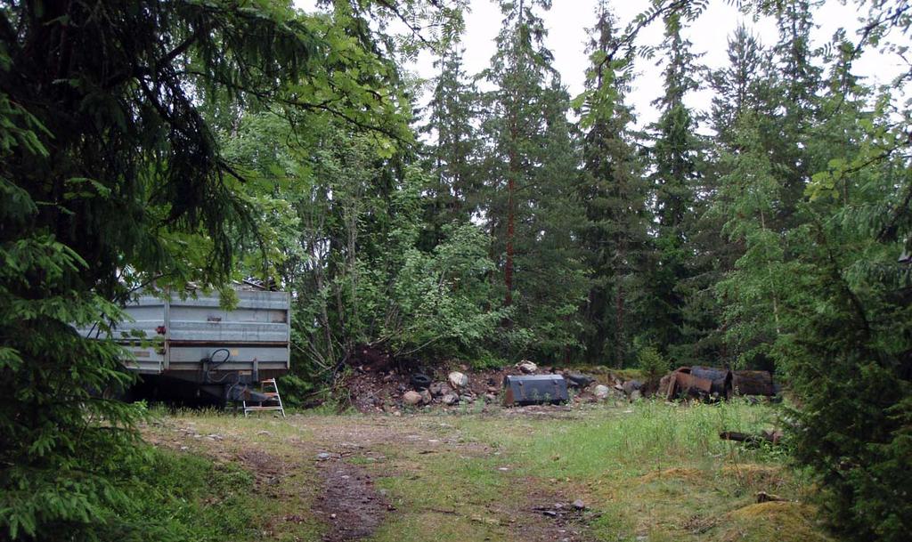 Niitä ovat rantakalliot, rehevämmät ranta-alueet, pohjoisen tervalepikko sekä koillisen luonnontilaisen kaltainen metsä.
