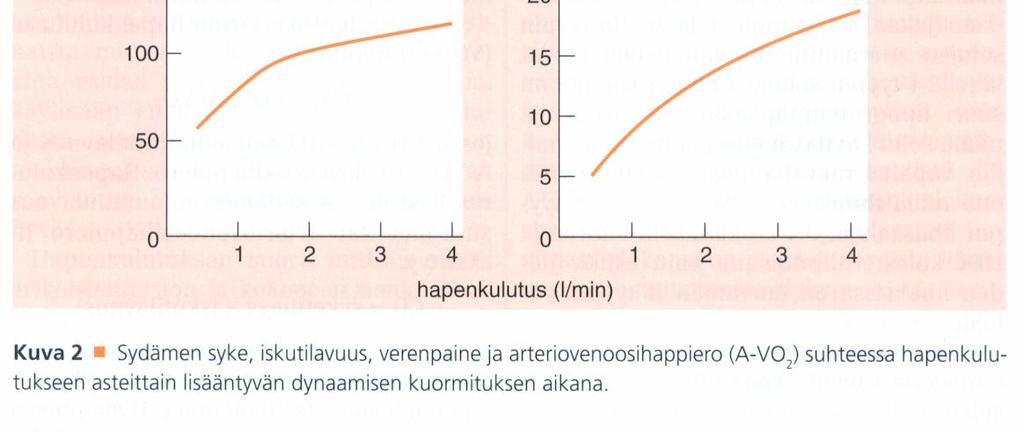 muscle metabolism VO 2 = oxygen