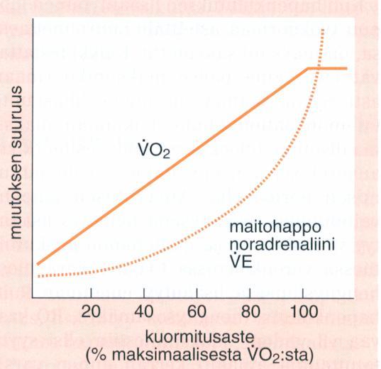 stroke volume (heart) HR = heart