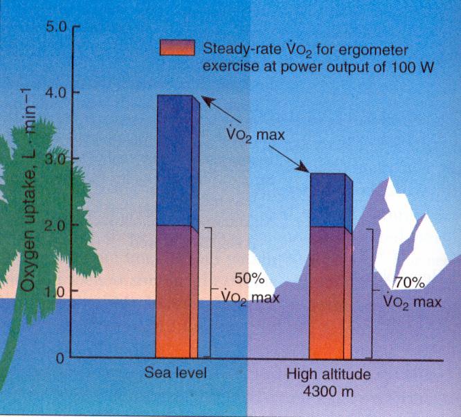 decreased C(a-v) O2 A.