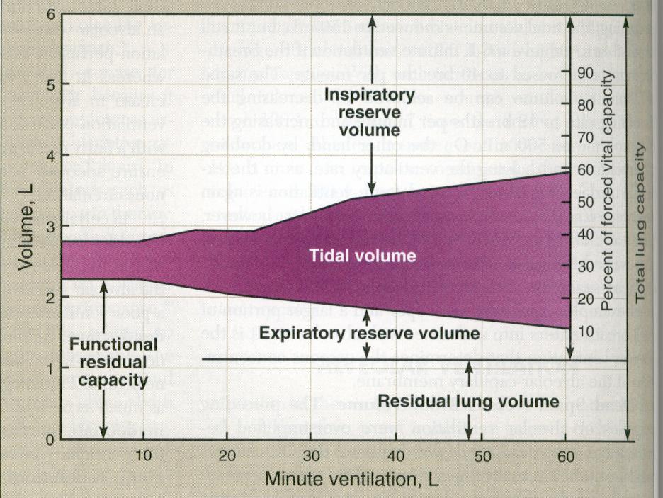 DECREASED O 2 TRANSPORTING CAPACITY OF