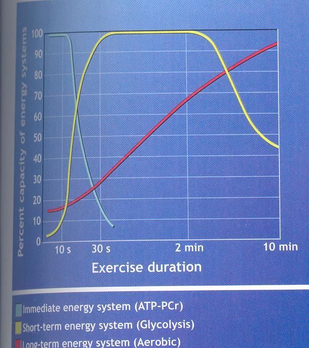 IV DECREASED GAS EXCHANGE IN MUSCLE CELLS A