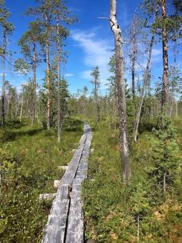 Tarkastukset Tila 3 Toteutettu Laji 6 Suojeluarvojen tarkastus Tarkastusvuosi 2016 Tarkastuspvm 21.7.