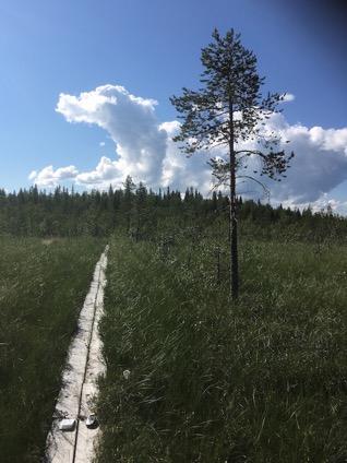 Tarkastukset Tila 3 Toteutettu Laji 6 Suojeluarvojen tarkastus Tarkastusvuosi 2016 Tarkastuspvm 12.7.