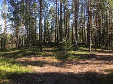 Tarkastukset Tila 3 Toteutettu Laji 6 Suojeluarvojen tarkastus Tarkastusvuosi 2016 Tarkastuspvm 12.7.