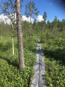 Tarkastukset Tila 3 Toteutettu Laji 6 Suojeluarvojen tarkastus Tarkastusvuosi 2016 Tarkastuspvm 12.7.