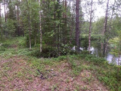 Kohteen nimi Venejoenkangas 1 pyyntikuoppa Koordinaatit ja sijainti (etrs tm 35) P 7463713, I372824, Z 165 (m mpy) Rajaus Gps-mittaus, pyyntikuoppa erottuu maastossa selvästi, mutta sen yhteydessä