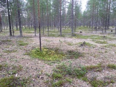 Kuoppa 3 on pohjoisin ja tiestä noin 20 metriä pohjoiseen. Kuoppa on muodoltaan maljamainen, lounais-koillis -suuntainen ja mitoiltaan 2 x 3 metriä, syvyydeltään 0,4 metriä. Vallit erottuvat heikosti.