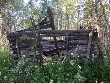 Kohteen nimi Kelhujoki 1 niittylato jäännös Koordinaatit ja sijainti (etrs tm 35) P, 7470152 I379763 Z 176 (m mpy) Rajaus Gps-mittaus Laji ja status Muu kultuuriperintö Tyyppi Työ- ja valmistuspaikat