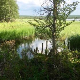 Kohteen nimi Vähäjoki 1 uittopato jäännös Koordinaatit ja sijainti (etrs tm 35) P 7465460, I377691, Z 177 (m mpy) Rajaus Gps-mittaus Laji ja status Muu kultuuriperintö Tyyppi Työ- ja valmistuspaikat