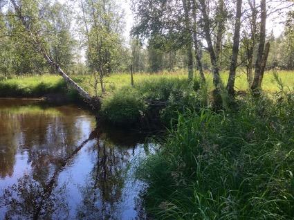 Kohteen nimi Lahdenniitty 1 uittopato jäännös Koordinaatit ja sijainti (etrs tm 35) P7434089, I368834 Z 120 (m mpy) Rajaus Gps-mittaus Laji ja status Muu kultuuriperintö Tyyppi Työ- ja