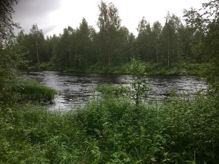 Kohteen nimi Vaattoniva 1 uittopato jäännös Koordinaatit ja sijainti (etrs tm 35) P7457508, I372732, Z 157 (m mpy) Rajaus Gps-mittaus Laji ja status Muu kultuuriperintö Tyyppi Työ- ja valmistuspaikat