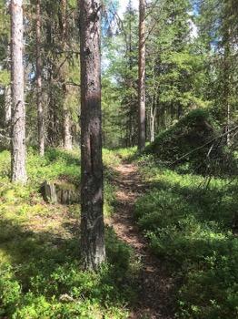 Tarkastukset Tila 3 Toteutettu Laji 6 Suojeluarvojen tarkastus Tarkastusvuosi 2016 Tarkastuspvm 12.7.