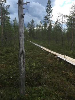 Tarkastukset Tila 3 Toteutettu Laji 6 Suojeluarvojen tarkastus Tarkastusvuosi 2016 Tarkastuspvm 12.7.