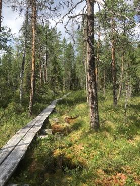 Tarkastukset Tila 3 Toteutettu Laji 6 Suojeluarvojen tarkastus Tarkastusvuosi 2016 Tarkastuspvm 12.7.