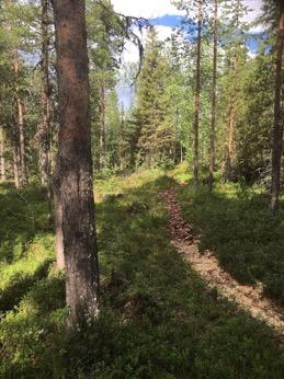 Tarkastukset Tila 3 Toteutettu Laji 6 Suojeluarvojen tarkastus Tarkastusvuosi 2016 Tarkastuspvm 12.7.