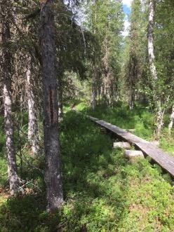 Tarkastukset Tila 3 Toteutettu Laji 6 Suojeluarvojen tarkastus Tarkastusvuosi 2016 Tarkastuspvm 12.7.